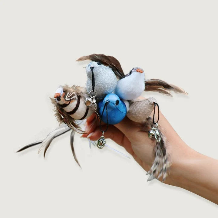 Replacement Birds (for Interactive Bird Simulation Cat Toy Set) | PurrHub
