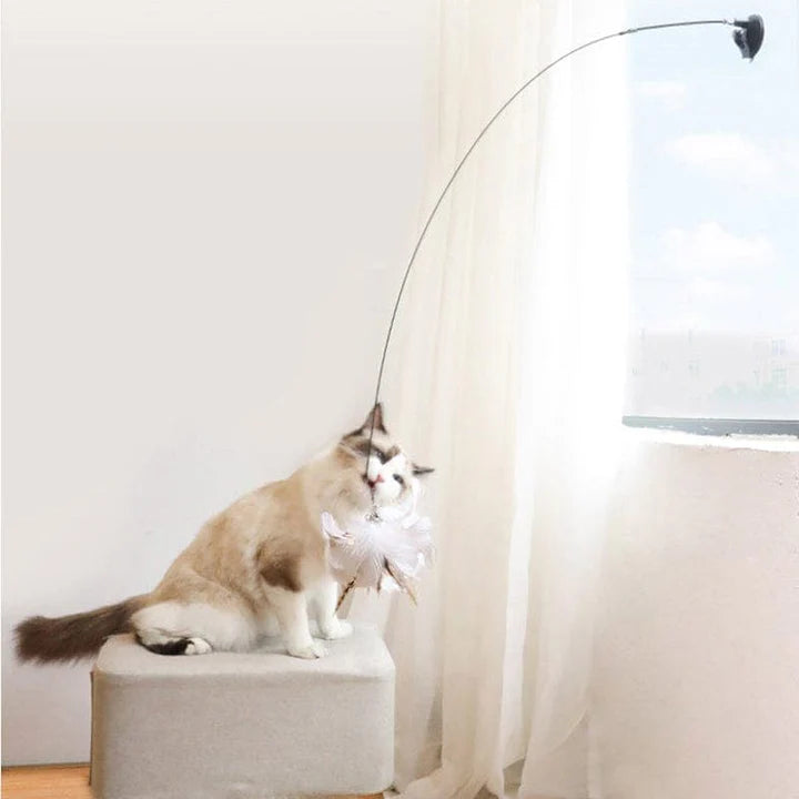 Interactive Bird Simulation Cat Toy Set | PurrHub