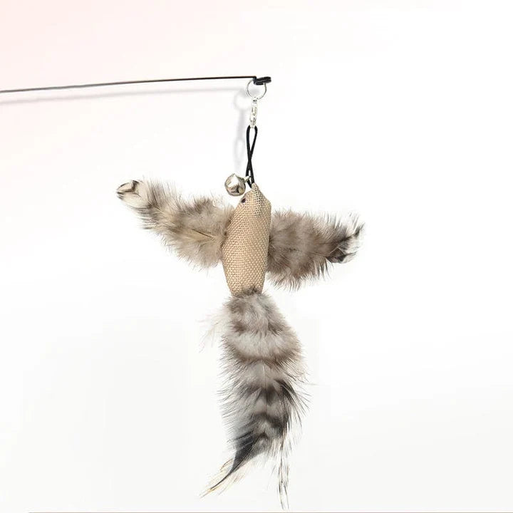 Interactive Bird Simulation Cat Toy Set | PurrHub