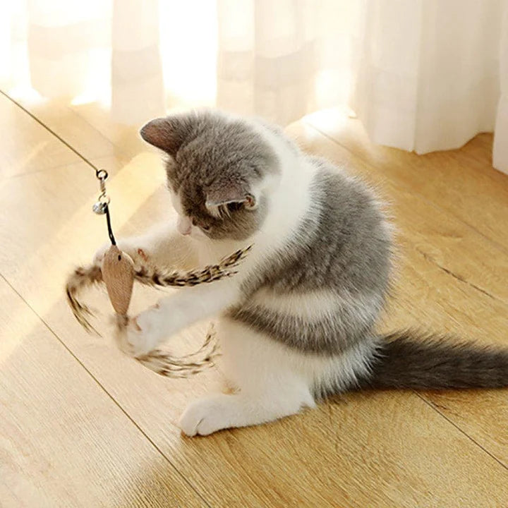 Interactive Bird Simulation Cat Toy Set | PurrHub