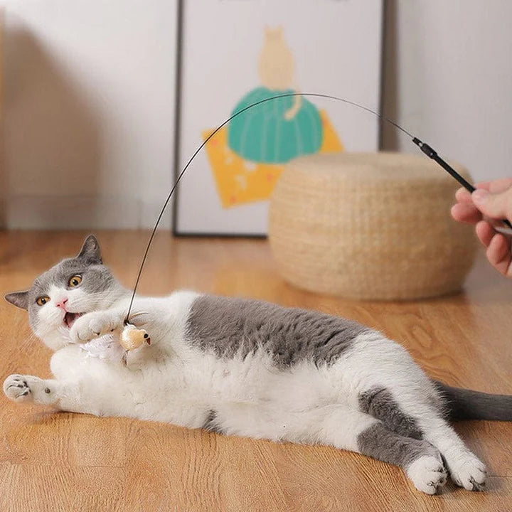 Interactive Bird Simulation Cat Toy Set | PurrHub