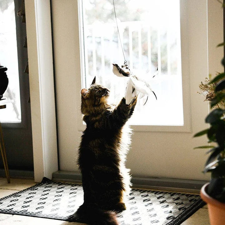 Interactive Bird Simulation Cat Toy Set | PurrHub