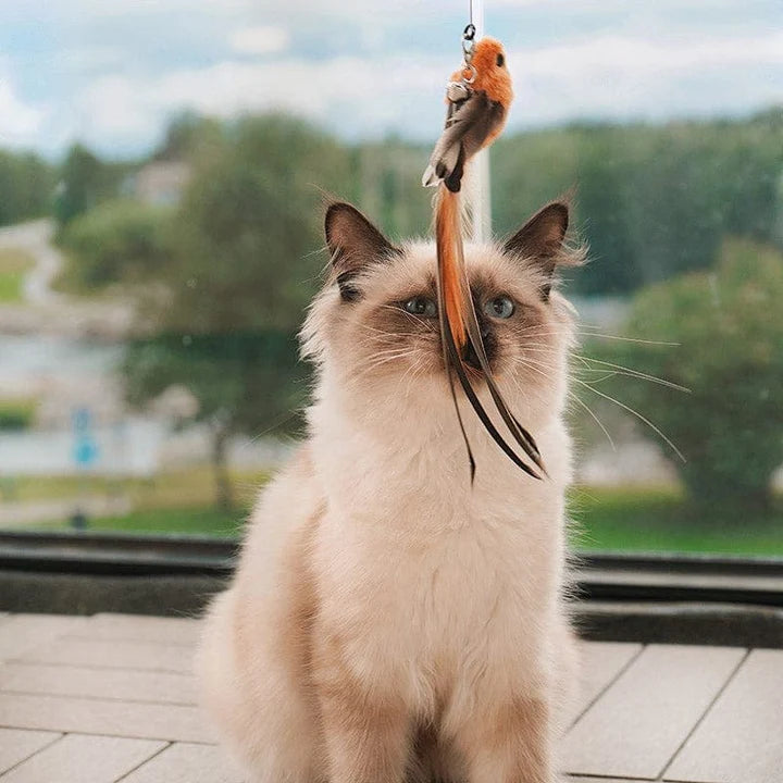 Interactive Bird Simulation Cat Toy Set | PurrHub