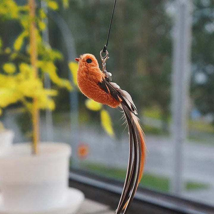 Interactive Bird Simulation Cat Toy Set | PurrHub