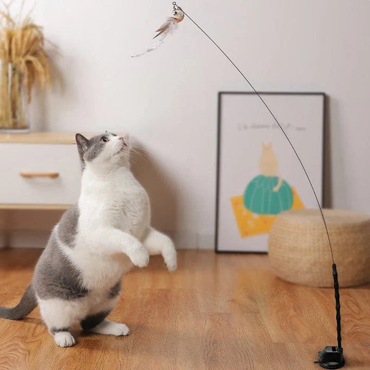 Interactive Bird Simulation Cat Toy Set | PurrHub
