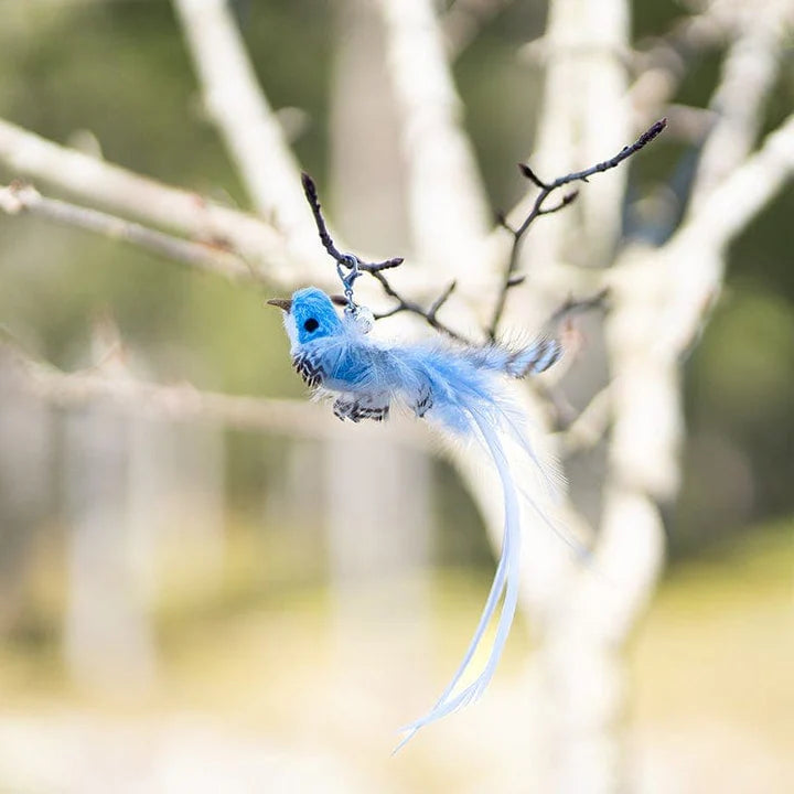 Replacement Birds (for Interactive Bird Simulation Cat Toy Set) | PurrHub