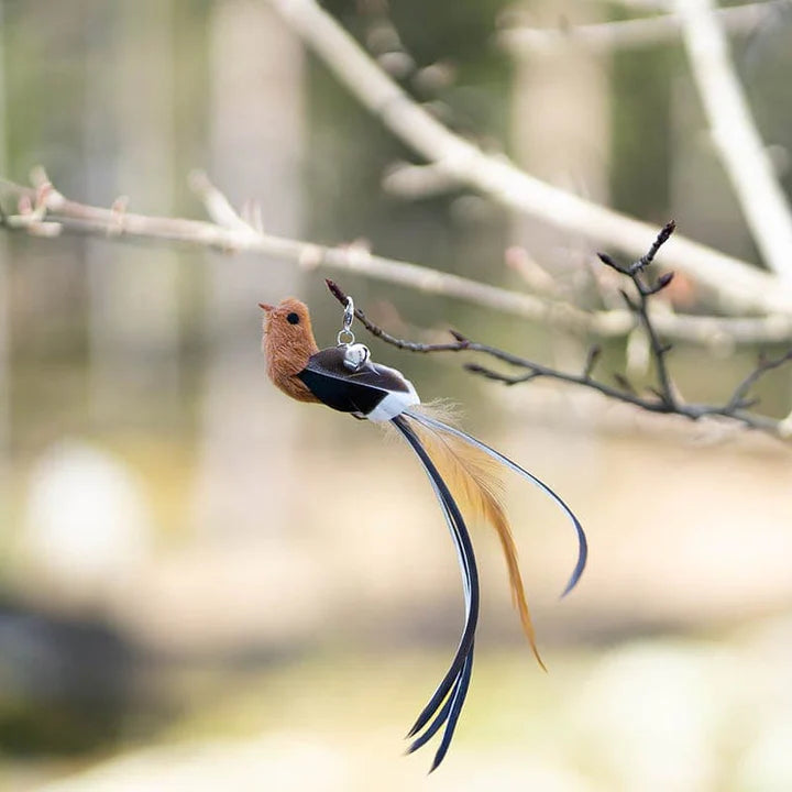 Replacement Birds (for Interactive Bird Simulation Cat Toy Set) | PurrHub