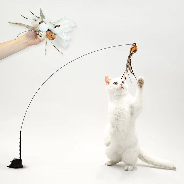 Interactive Bird Simulation Cat Toy Set | PurrHub
